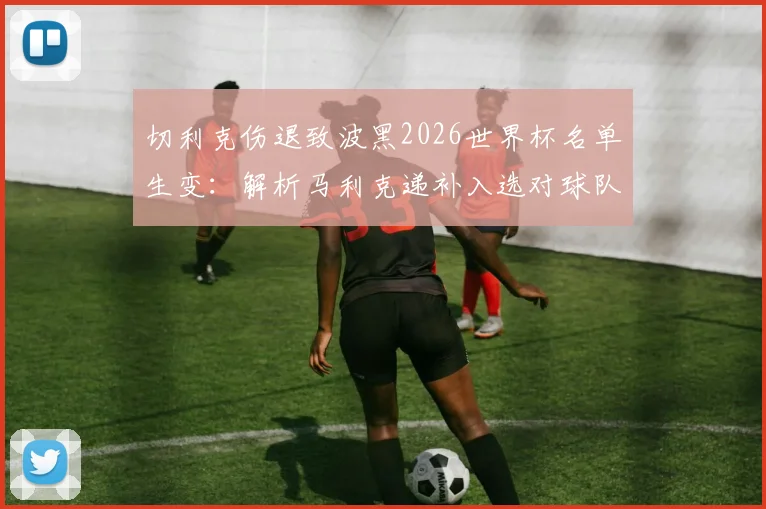切利克伤退致波黑2026世界杯名单生变：解析马利克递补入选对球队的潜在影响